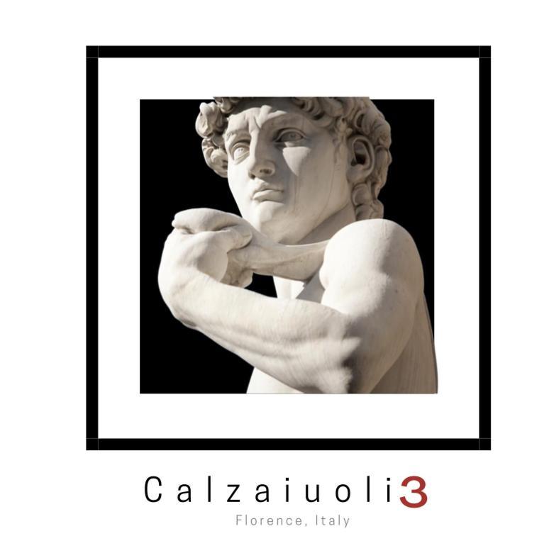 Calzaiuoli3 Luxury Flat In The City Center Of Firenze Eksteriør billede